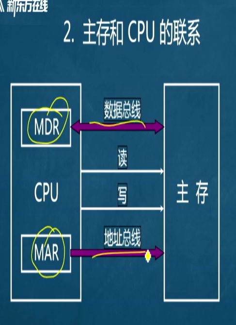 image-20220426225804910